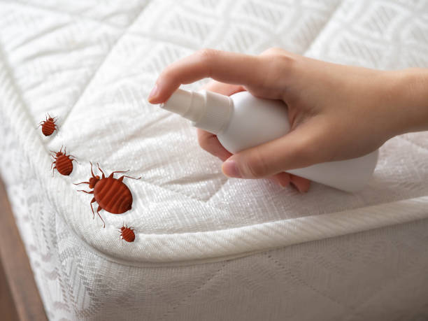 Best Residential Pest Control  in Okemos, MI